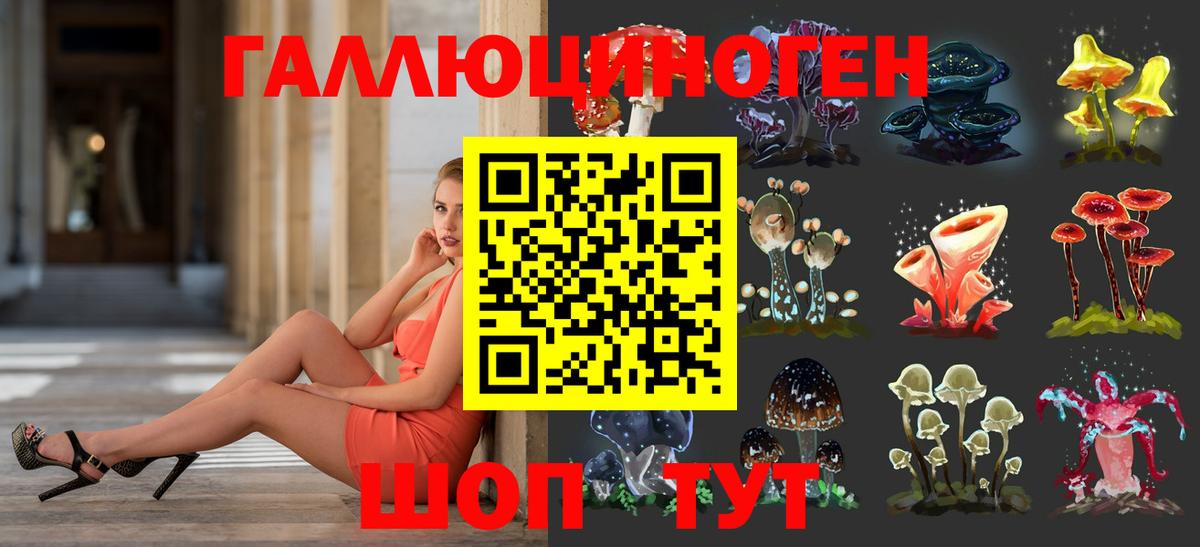 Клинцы  Псилоцибиновые грибы Magic Shrooms  Вход с VPN 