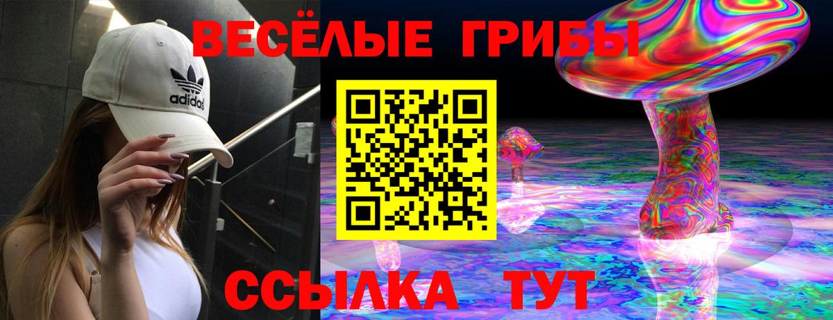 Галлюциногенные грибы Cubensis Клинцы